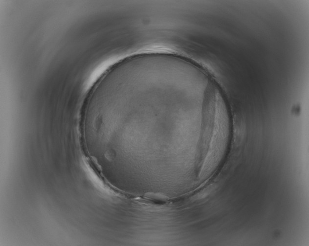 X0000112461422200909071059