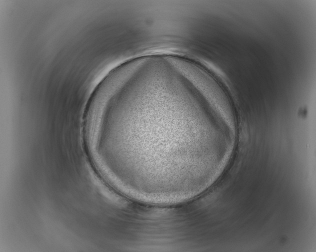 X0000112461423200909071059