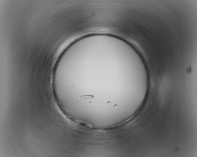 X0000112461424200909071059