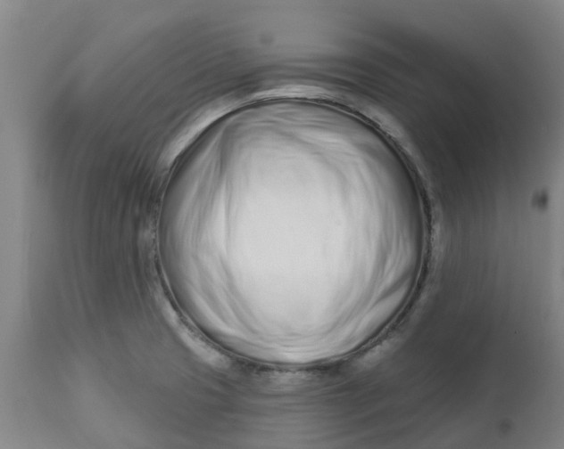 X0000112461425200909071059