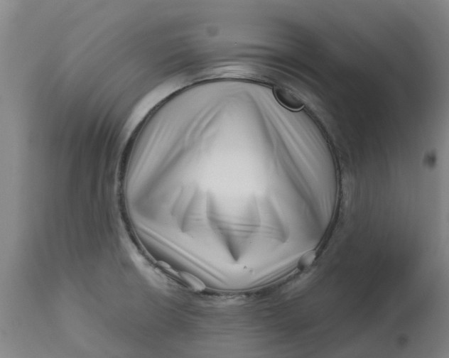 X0000112461426200909071059