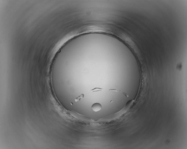 X0000112461427200909071059