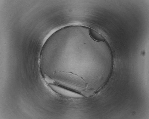 X0000112461428200909071059