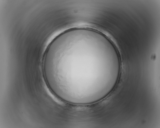 X0000112461429200909071059