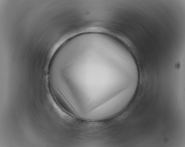 X0000112461430200909071059