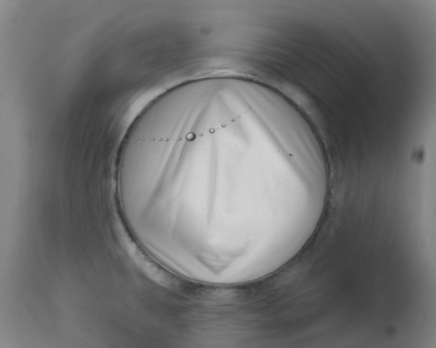 X0000112461431200909071059