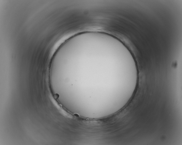 X0000112461432200909071059