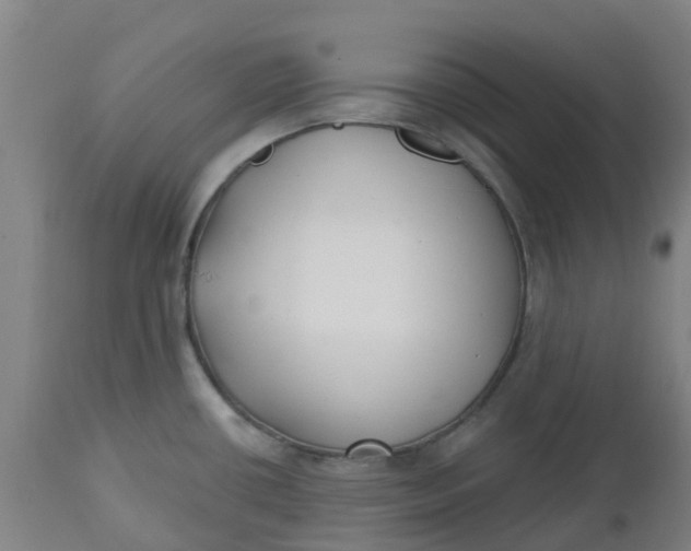 X0000112461434200909071059