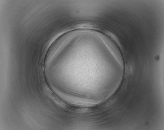 X0000112461435200909071059