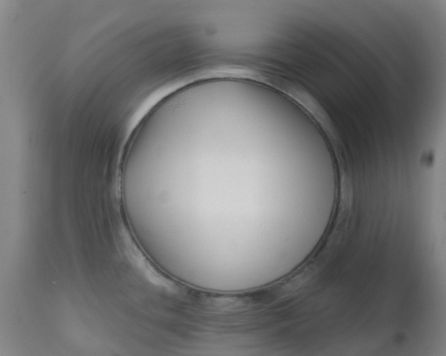 X0000112461436200909071059