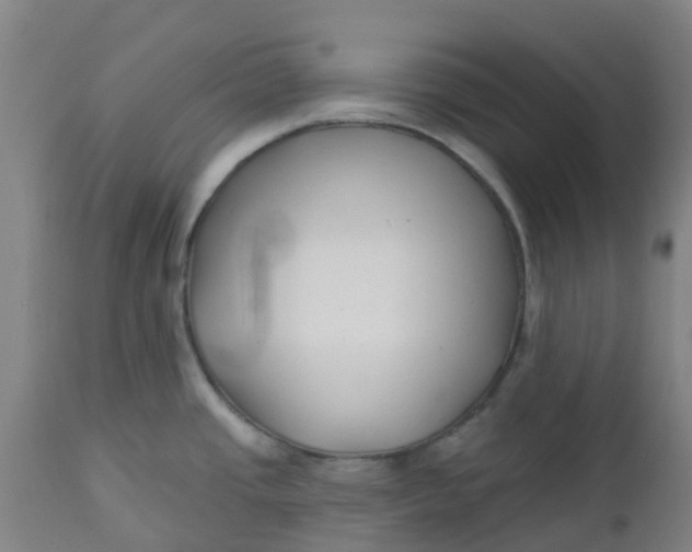 X0000112461437200909071059