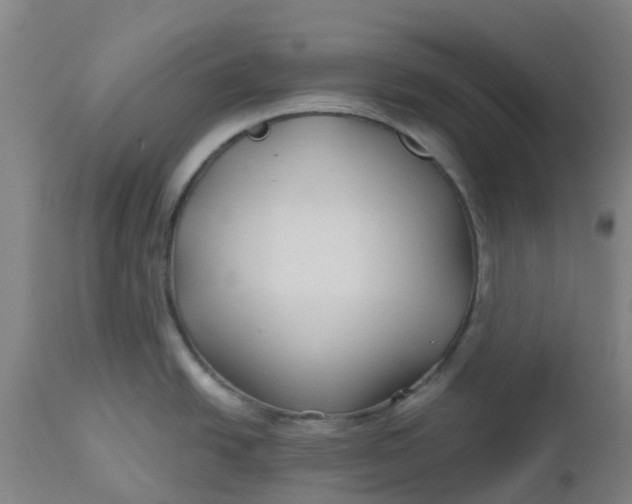 X0000112461438200909071059