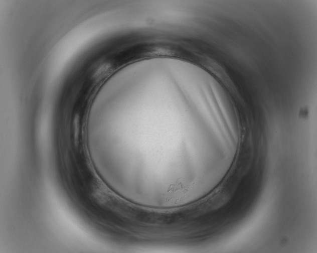 X0000112461439200909071059