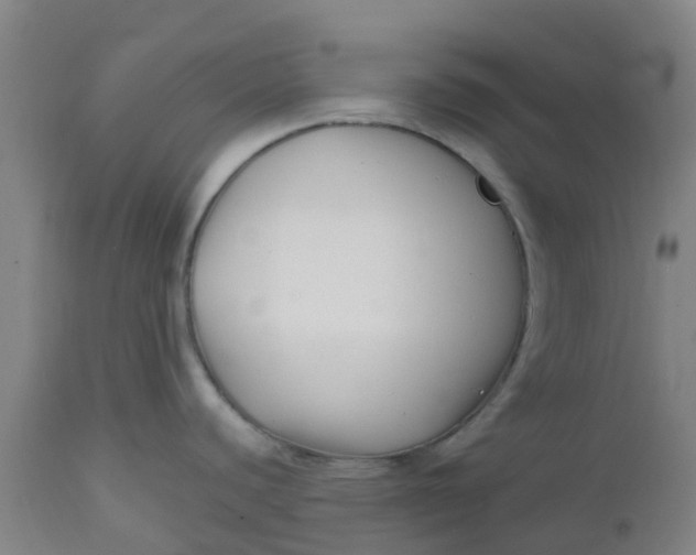 X0000112461440200909071059