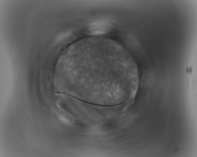 X0000112461441200909071059