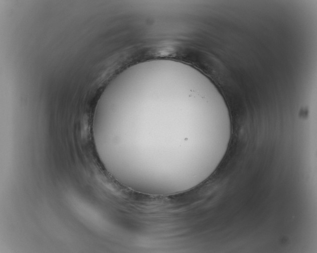 X0000112461442200909071059