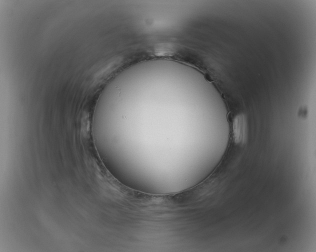 X0000112461443200909071059