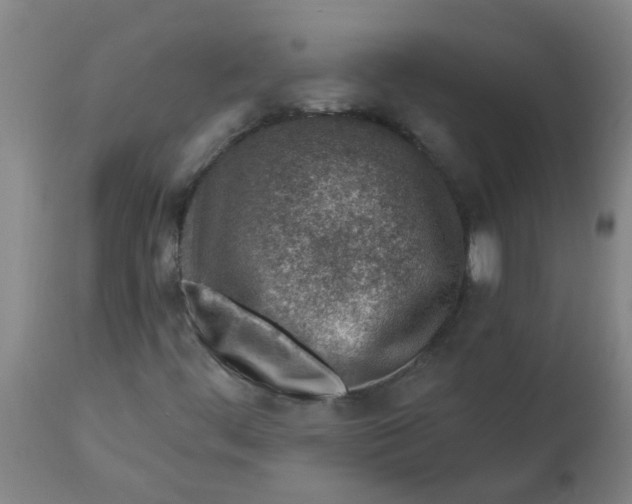 X0000112461444200909071059