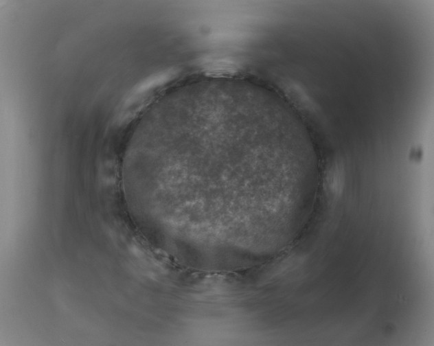 X0000112461445200909071059