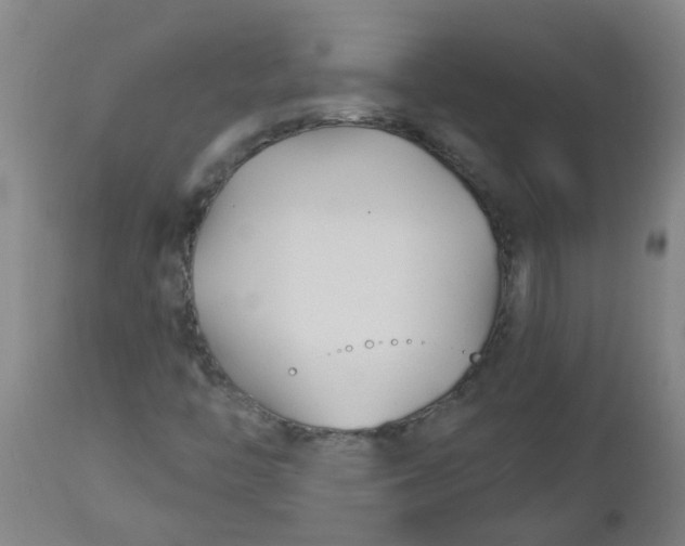 X0000112461446200909071059