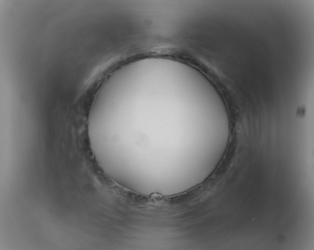 X0000112461447200909071059