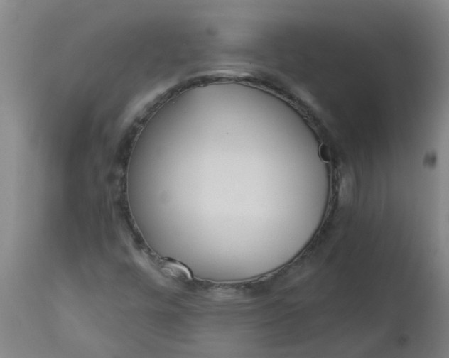 X0000112461448200909071059