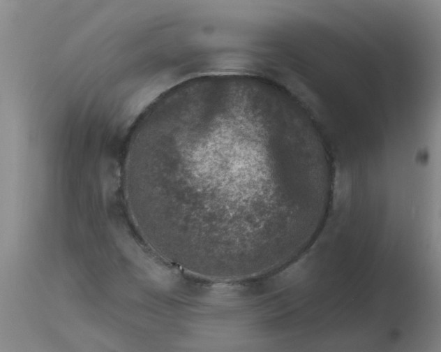 X0000112461449200909071059