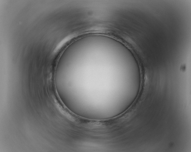 X0000112461450200909071059