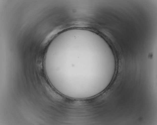 X0000112461451200909071059