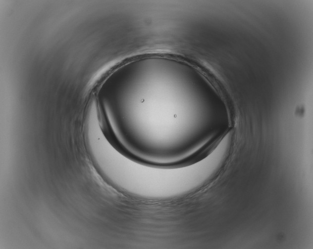 X0000112461452200909071059