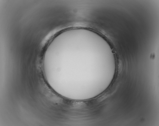 X0000112461454200909071059