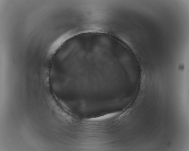 X0000112461455200909071059