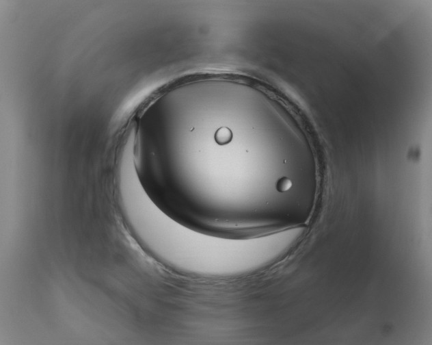 X0000112461456200909071059