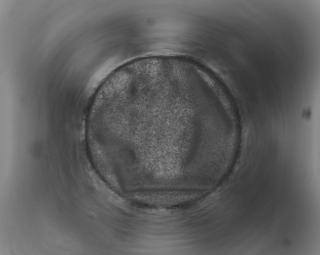 X0000112461459200909071059