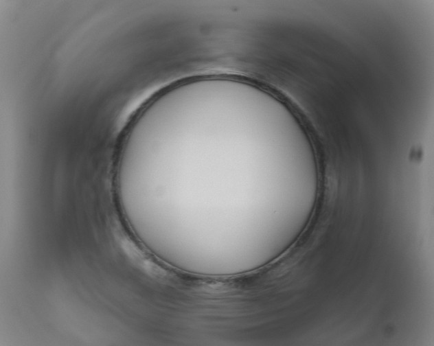 X0000112461460200909071059