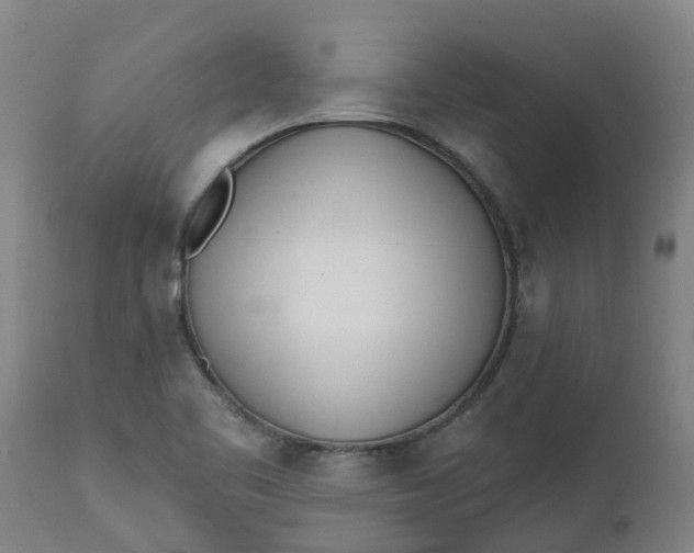 X0000112461461200909071059