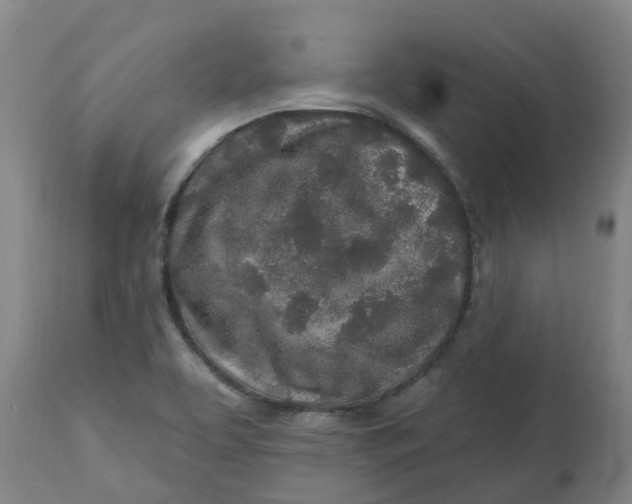 X0000112461463200909071058