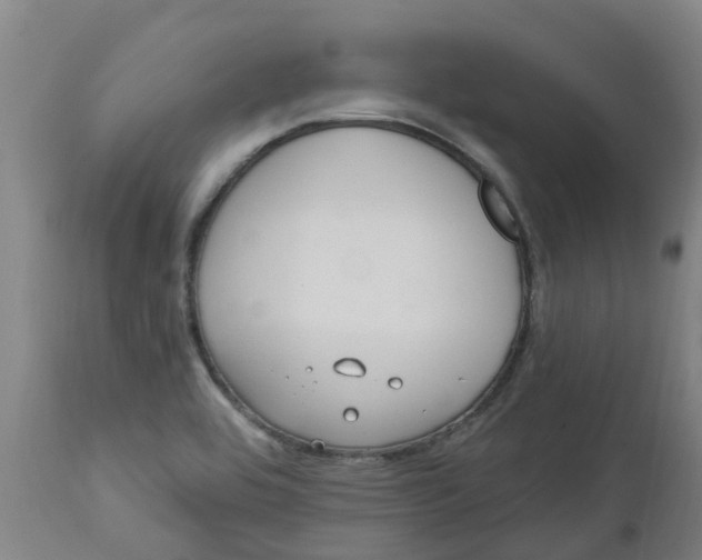 X0000112461464200909071058