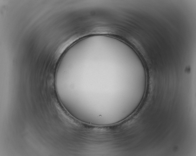 X0000112461465200909071058