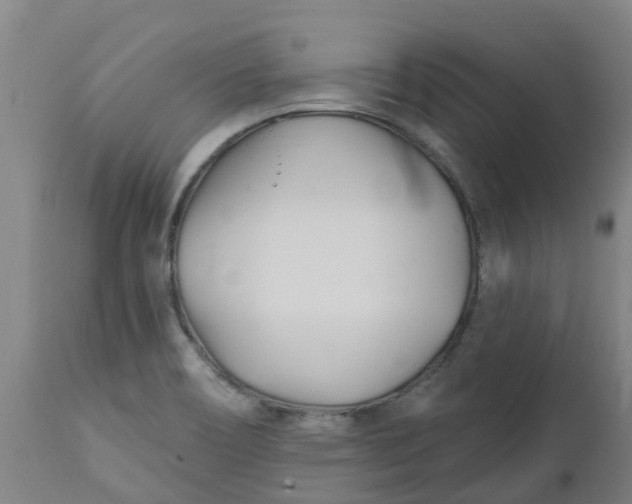 X0000112461466200909071058