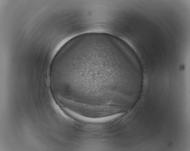 X0000112461468200909071058