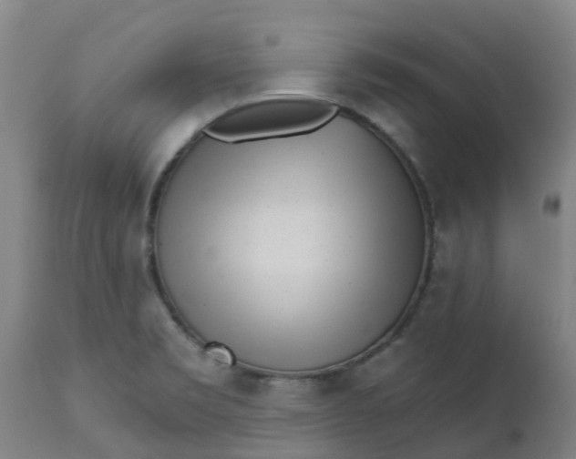 X0000112461469200909071058