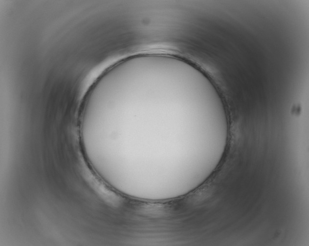 X0000112461470200909071058