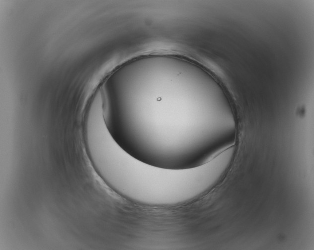 X0000112461472200909071058