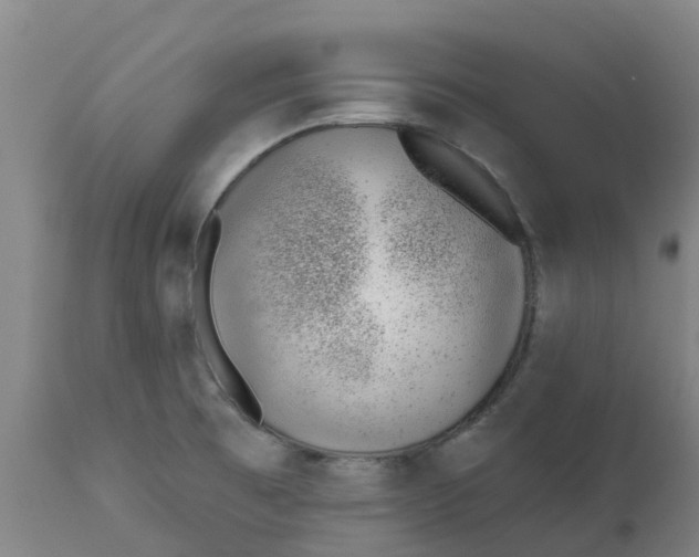 X0000112461473200909071058