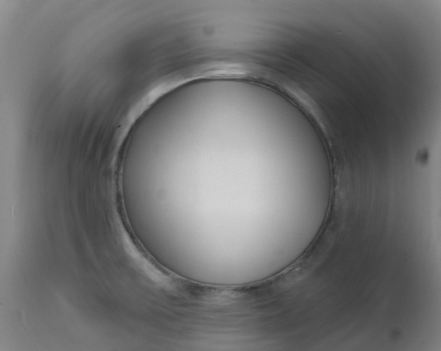 X0000112461475200909071058