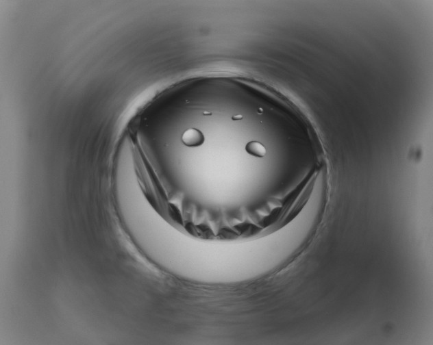 X0000112461477200909071058