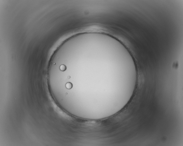 X0000112461478200909071058