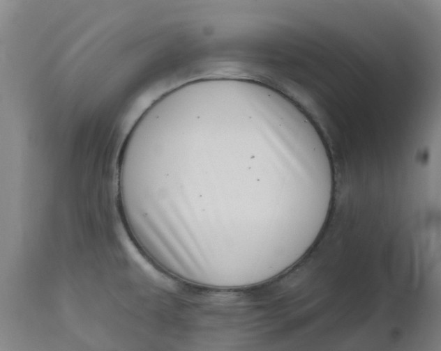 X0000112461479200909071058