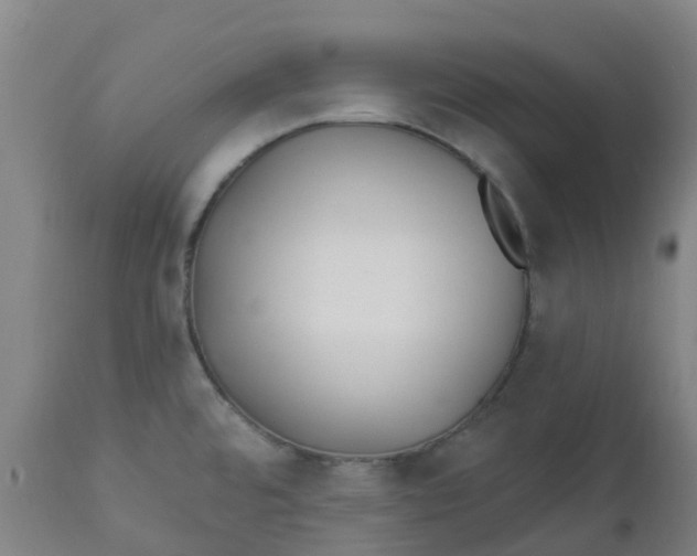 X0000112461480200909071058